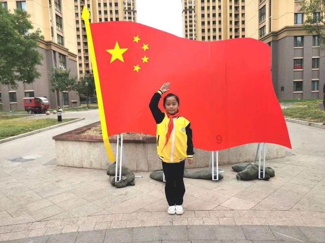 对标国际高标准经贸规则导向鲜明